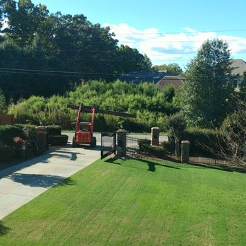 Squirrel Tree Services - A Quality Cleanup - Tree Services Near Me