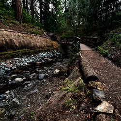 Regional Parks Botanic Garden at Tilden