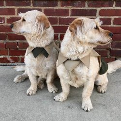 Jenny's Tailoring