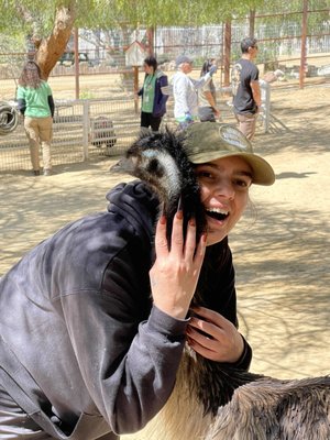 The Gentle Barn by null