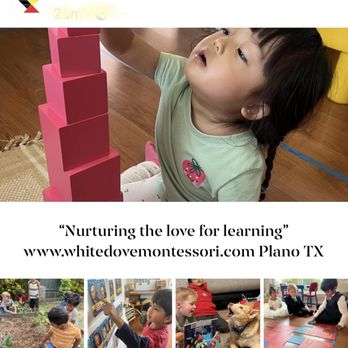 White Dove Montessori School - Montessori Schools Near Me - Plano, Texas White Dove Montessori School - Montessori Schools Near Me - Plano, Texas