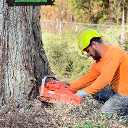 GM 2 Tree Service