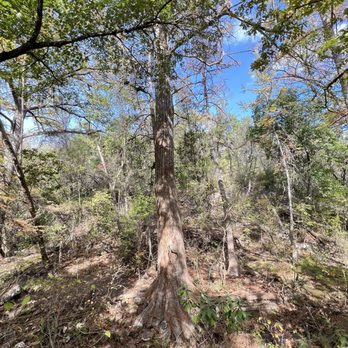 Westcave Outdoor Discovery Center - Parks Near Me - Round Mountain, Texas