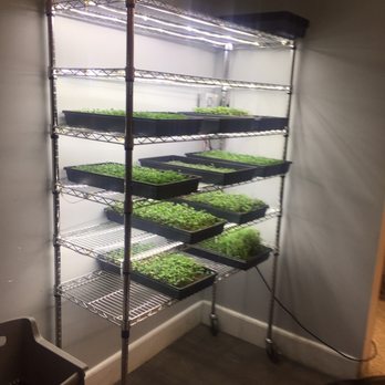 Uncle's Hawaiian Grindz - Micro Greens and Fresh Ingredients by the kitchen - Asian Fusion Near Me - Fallston, Maryland Uncle's Hawaiian Grindz - Micro Greens and Fresh Ingredients by the kitchen - Asian Fusion Near Me - Fallston, Maryland