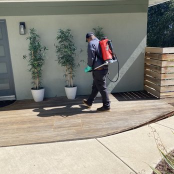 Greene Pest Control - Home maintenance - Pest Control Near Me - Chula Vista, California Greene Pest Control - Home maintenance - Pest Control Near Me - Chula Vista, California
