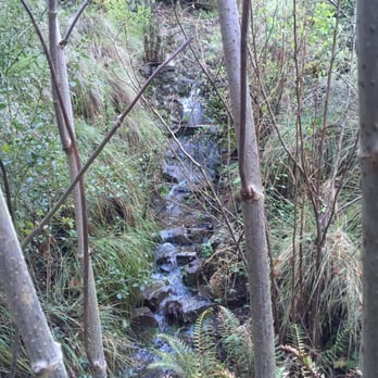 Regional Parks Botanic Garden at Tilden - Botanical Gardens Near Me - Berkeley, California