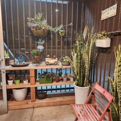Olligo Grill - Love this patio