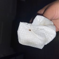 Evanston Neighborhood Properties - Bed bug!