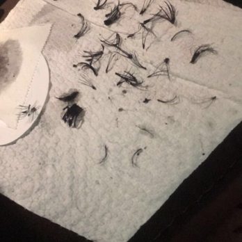 Color My Nails - These are some of the clusters after removal. Yes some natural lashes are stuck inside the clusters. - Nail Salons Near Me - Las Vegas, Nevada