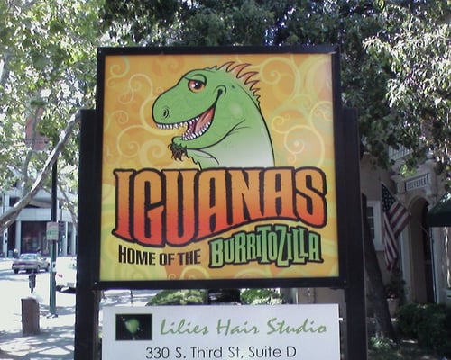 Iguanas Home Of The Burritozilla by null