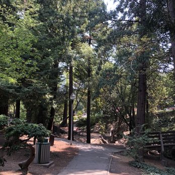 Live Oak Park - Scenery and another bridge - Parks Near Me - Berkeley, California