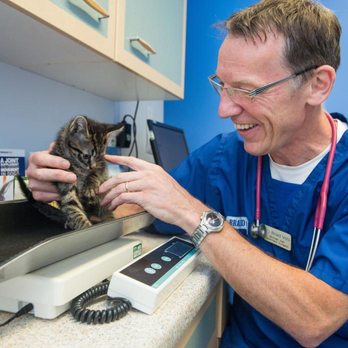 Braid Vets - Veterinarians Near Me - Edinburgh, EDH Braid Vets - Veterinarians Near Me - Edinburgh, EDH