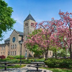 Niagara University
