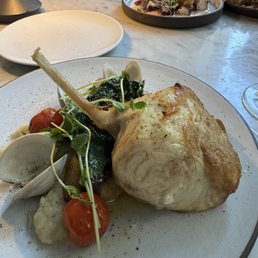 Tomahawk swordfish