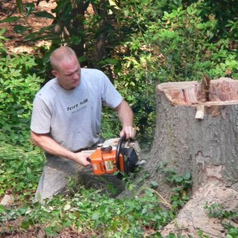 County Tree Service - untitled - Tree Services Near Me - Gastonia, North Carolina