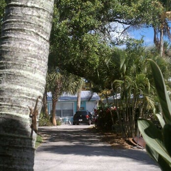 River Palm Cottages & Fish Camp - My lizard friend. - Hotels Near Me - Jensen Beach, Florida River Palm Cottages & Fish Camp - My lizard friend. - Hotels Near Me - Jensen Beach, Florida