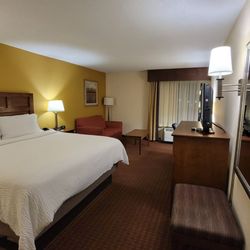 Holiday Inn Express - Greenville - King bed room