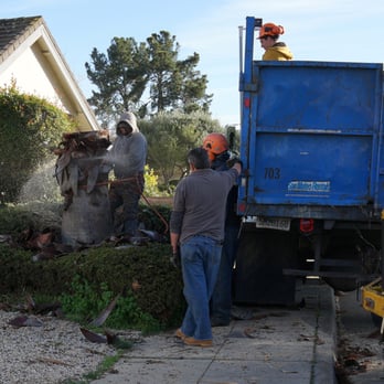 Olivares Tree Service - Tree Services Near Me Olivares Tree Service - Tree Services Near Me