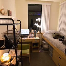 Berkeley Metropolitan - My room. Sept. 2016. - Apartments Near Me - Berkeley, California