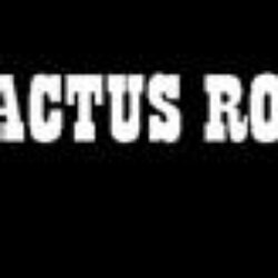 Cactus Roofing - Saskatoon Roofing