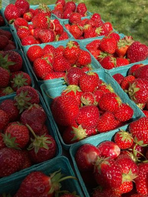 Lawrenceville Farmers Market by null