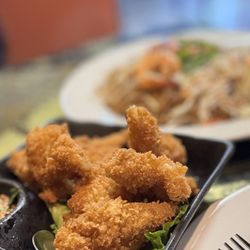 Thian Thai Restaurant - Fried calamari appetizer