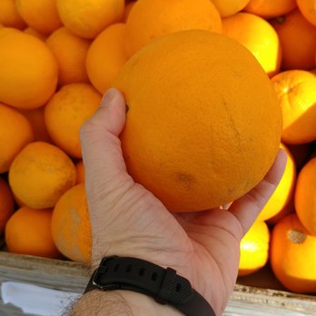 Toby's Feed Barn - Huge oranges - Coffee & Tea Near Me - Point Reyes Station, California Toby's Feed Barn - Huge oranges - Coffee & Tea Near Me - Point Reyes Station, California