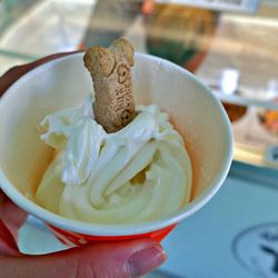 Fudgees Homemade Fudge & Ice Cream - Doggie cone