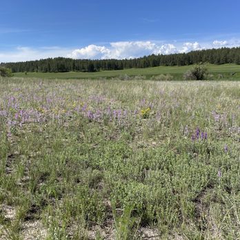 Castlewood Canyon State Park - Lake gulch trail - Parks Near Me - Franktown, Colorado