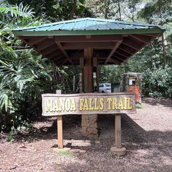 Mānoa Falls Trail - Hiking Near Me - Honolulu, Hawaii