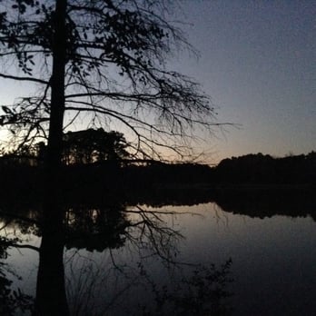 East End Park - Not a blank canvas, but a beautiful one - Parks Near Me - Houston, Texas