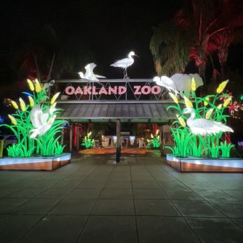 Glowfari - Zoos Near Me - Oakland, California Glowfari - Zoos Near Me - Oakland, California