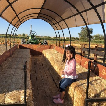 Goblin Gardens - Pick Your Own Farms Near Me - Sacramento, California Goblin Gardens - Pick Your Own Farms Near Me - Sacramento, California