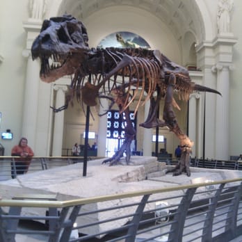 Field Museum - Museums Near Me - Chicago, Illinois Field Museum - Museums Near Me - Chicago, Illinois