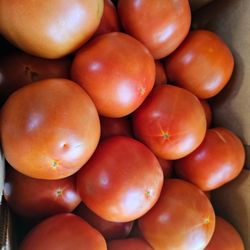Blue Ridge Flea Market - Fresh tomatoes