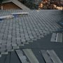 Photo of Roof It All