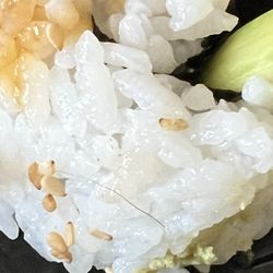 Sprouts Farmers Market - Shrimp tempura sushi with hair