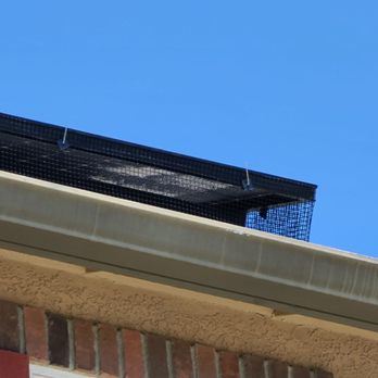 Solar Maid Nor Cal - Bird-B-Gone barrier installed by Solar Maid. - Window Washing Near Me