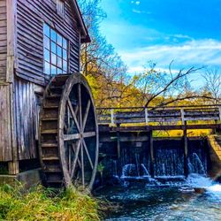 Hyde’s Mill - Beauty