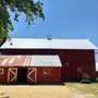 Photo of Luna Roofing