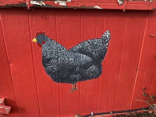 Peace and Plenty Farm by null