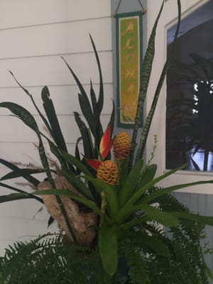 Ka'awa Loa Plantation by null