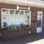 All Paws Veterinary Hospital