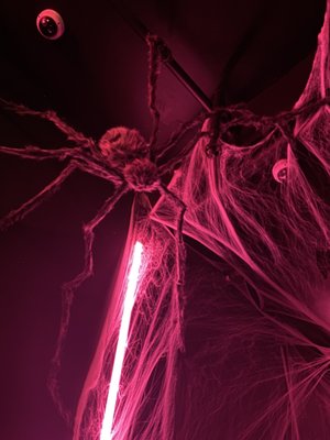 Eastpoint Bar by null