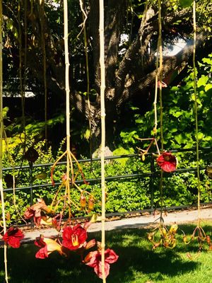 Palomar College by null