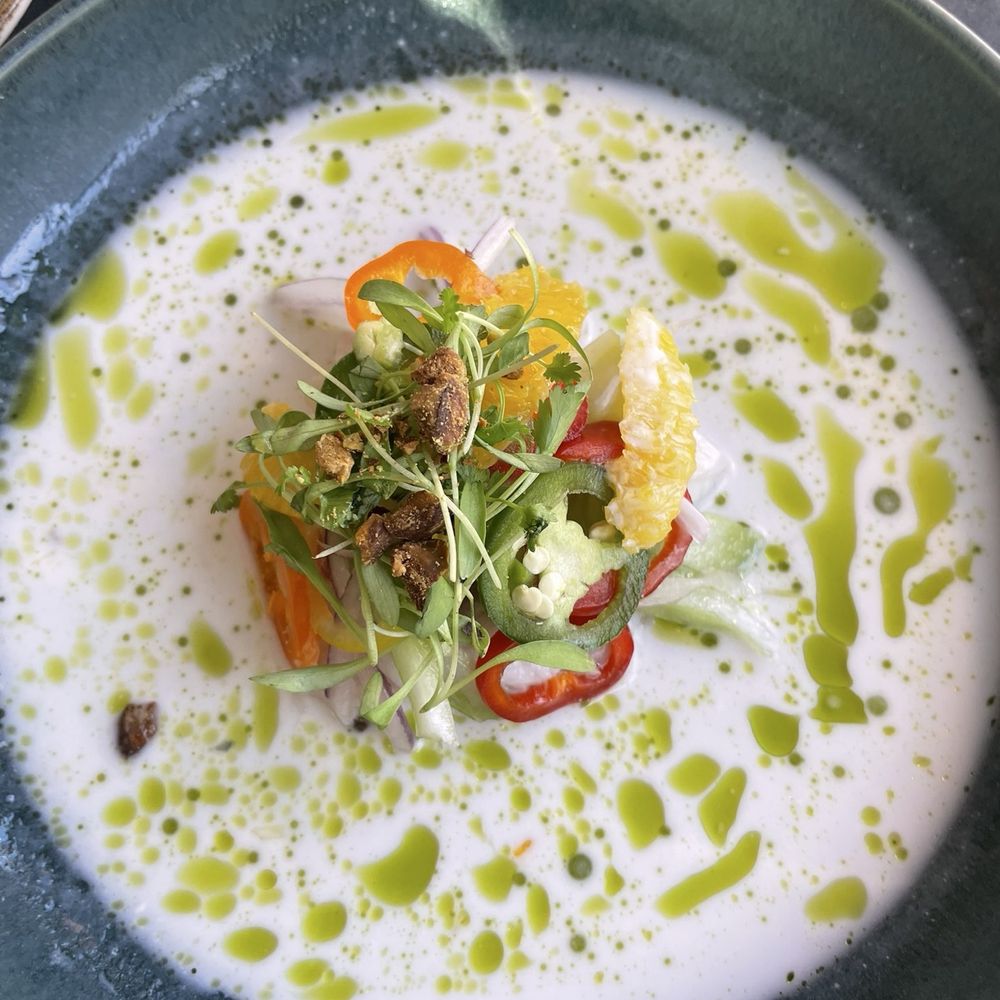 Fern - Ceviche with great juice - New American Near Me - West Palm Beach, Florida Fern - Ceviche with great juice - New American Near Me - West Palm Beach, Florida