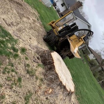Environmental Ground Clearings - Tree Services Near Me - Elkhart, Indiana Environmental Ground Clearings - Tree Services Near Me - Elkhart, Indiana