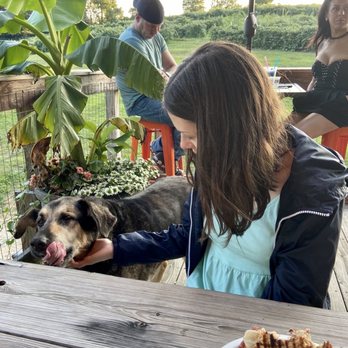 Ugly Bunny Winery - My new friend Moose - Wineries Near Me - Loudonville, Ohio