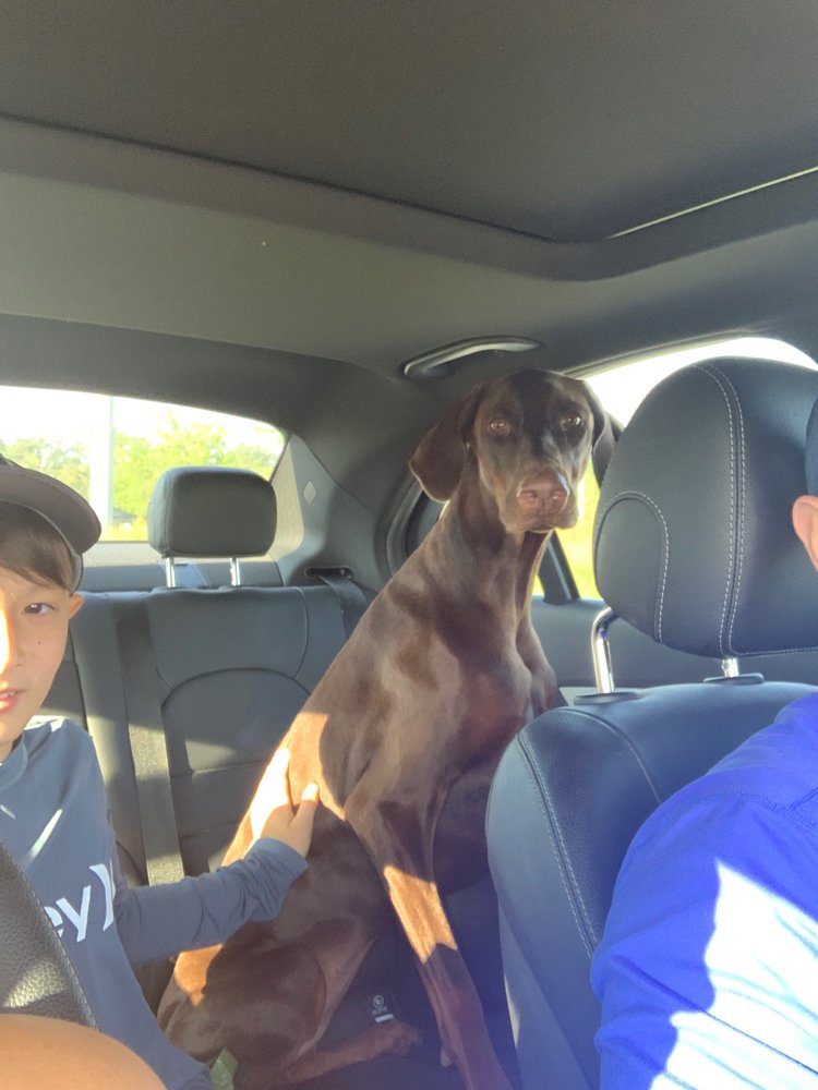 RED WOOF INN PET HOTEL - Updated December 2024 - 12 Photos - 12247