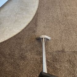 Carbonated Carpet Cleaning - Property Management